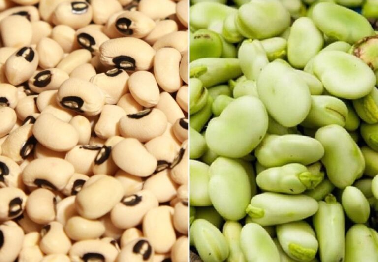Esta es la guía que estandariza calidad en producción de legumbres