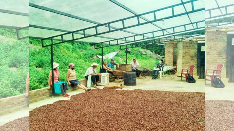Piura: 18 mil productores de café orgánico se beneficiarán con PIP