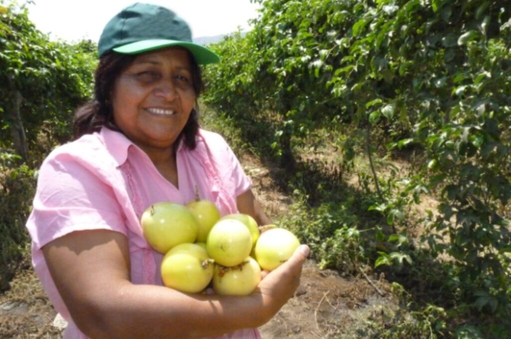 Exportaciones de maracuyá generan ingresos de $46 millones