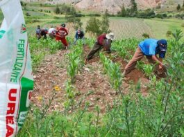 Dictan norma para facilitar adquisición de fertilizantes del mercado internacional