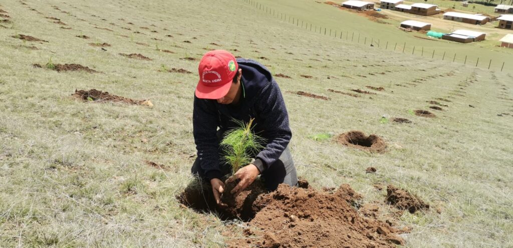 Realizarán II Congreso Internacional sobre desarrollo sostenible ambiental