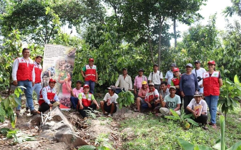 Fortalecen capacidades sobre manejo de plagas a 20 productores de cacao
