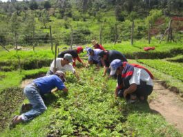 Un millón de personas se benefician de las aguas de la subcuenca de Huancabamba
