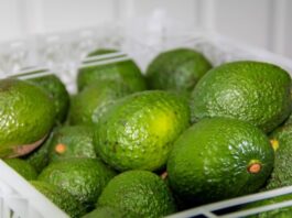 Crean software para monitoreo de deficiencias en plantaciones de palta Hass palta