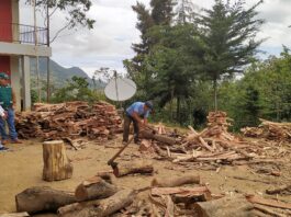 SERFOR: 120 estudiantes se beneficiarán con alimentos preparados con leña decomisada SERFOR