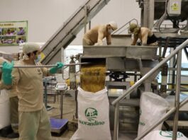 Piura: 600 productores se beneficiaron de proyecto Panela