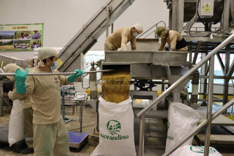 Piura: 600 productores se beneficiaron de proyecto Panela