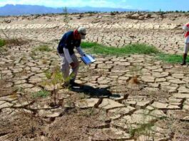Pedirán declaratoria de emergencia ante sequía en el alto Piura