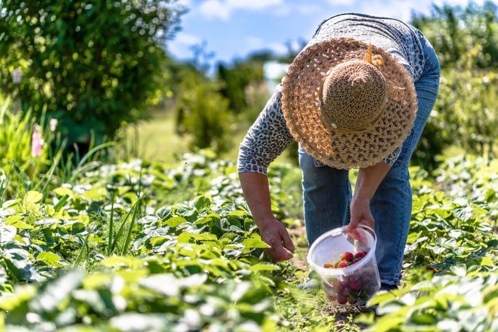 productores agropecuarios