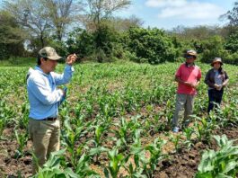 Agro Rural hace entrega de primer lote de guano a Piura