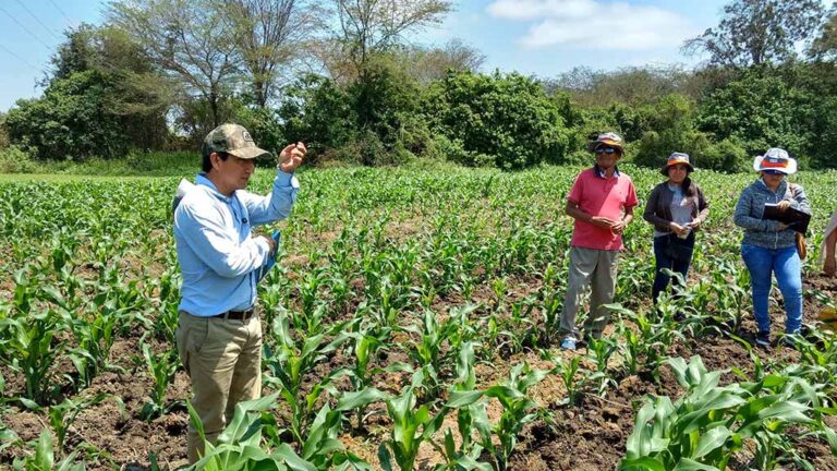 Agro Rural hace entrega de primer lote de guano a Piura