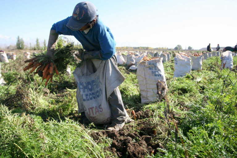 Más de medio millón de agricultores serán beneficiados por el Estado