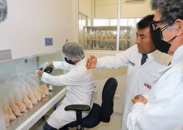 Inauguran moderno laboratorio de producción de hongos antagonistas