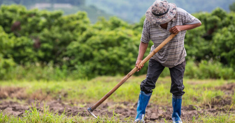 Los retos de una agricultura familiar sostenible en Piura