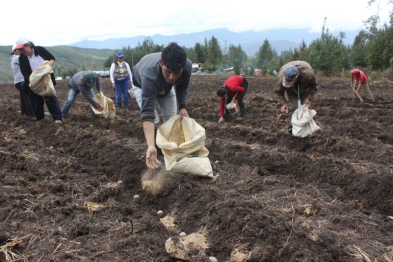 Destinan más de S/ 468 millones para Fondo Agroperú