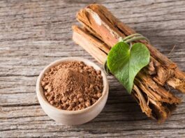 Uña de gato: beneficios, propiedades y cómo consumir esta planta medicinal peruana