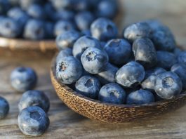 El arándano, un super alimento con propiedades nutritivas arándanos