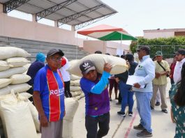 Productores ganaderos de Chulucanas y La Matanza reciben 73 toneladas de alimento ganadero Productores ganaderos de Chulucanas y La Matanza reciben 73 toneladas de alimento ganadero