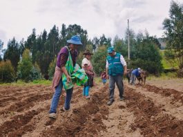 Bono de S/800: Midagri anuncia ayuda económica por hectáreas a pequeños productores Bono