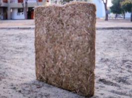 Crean panel constructivo de bagazo de caña de azúcar que soporta friajes Crean panel constructivo de bagazo de caña de azúcar que soporta friajes