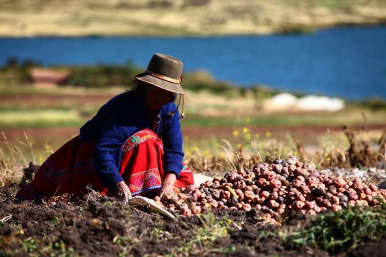 Agenda Agraria Regional recibe aporte de la Autoridad Nacional del Agua