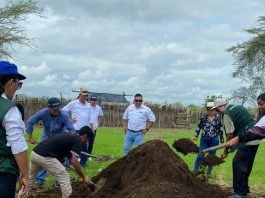 Agro Rural recupera cobertura vegetal de 100 hectáreas con siembra de semillas forestales en Piura Agro Rural recupera cobertura vegetal de 100 hectáreas con siembra de semillas forestales en Piura. / Foto: Gob.pe