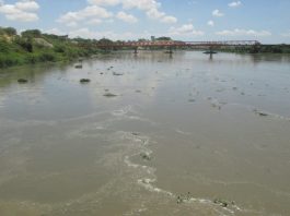 ANA evalúa los efectos del fenómeno El Niño en márgenes del río Chira ANA evalúa los efectos del fenómeno El Niño en márgenes del río Chira. / Foto: Andina.