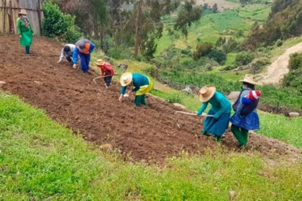 AgroMujer: conoce los requisitos para acceder a un crédito como pequeña productora.