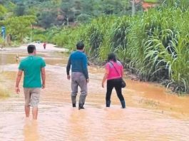 Piura: sector agrario enfrenta pérdidas incalculables tras lluvias Piura: sector agrario enfrenta pérdidas incalculables tras lluvias
