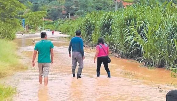 Piura: sector agrario enfrenta pérdidas incalculables tras lluvias