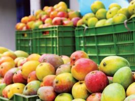 Piura destacó en envíos al exterior en el 2022 con US$ 2,489 millones