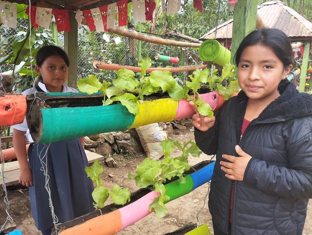 Canchaque: escolares de Qali Warma promueven alimentación saludable con huertos escolares.