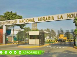 UNALM organiza primera feria de promoción de servicios tecnológicos para sectores agroindustriales
