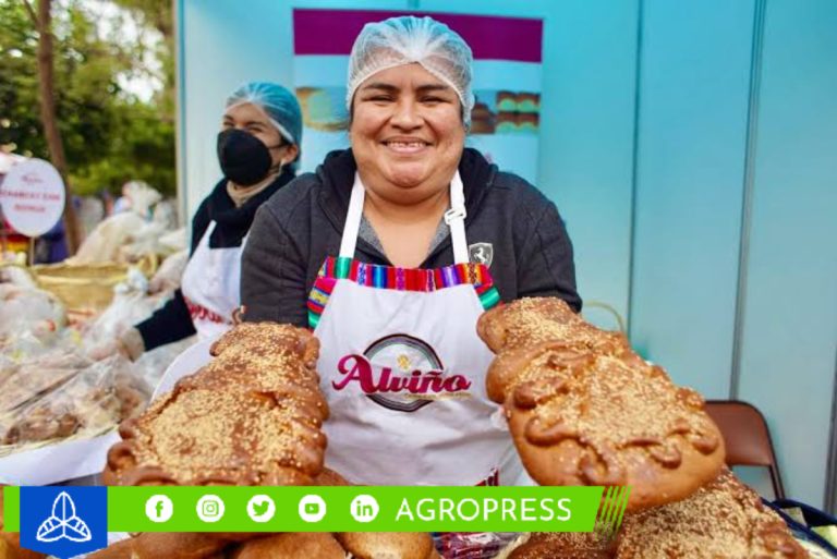 San Borja disfruta del festival de panes andinos y postres tradicionales