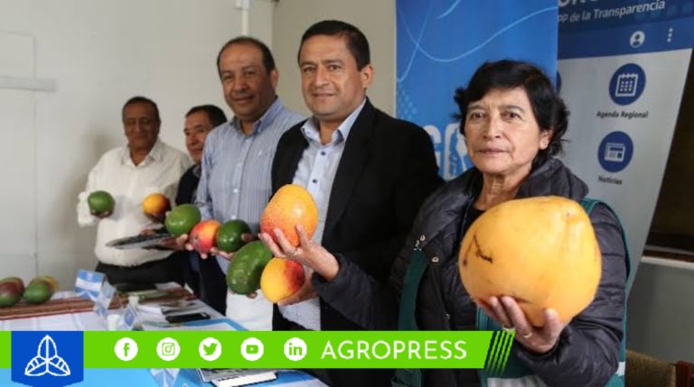Cajamarca busca proyectar sus frutos nativos al ámbito internacional y fortalecer su sector alimentario