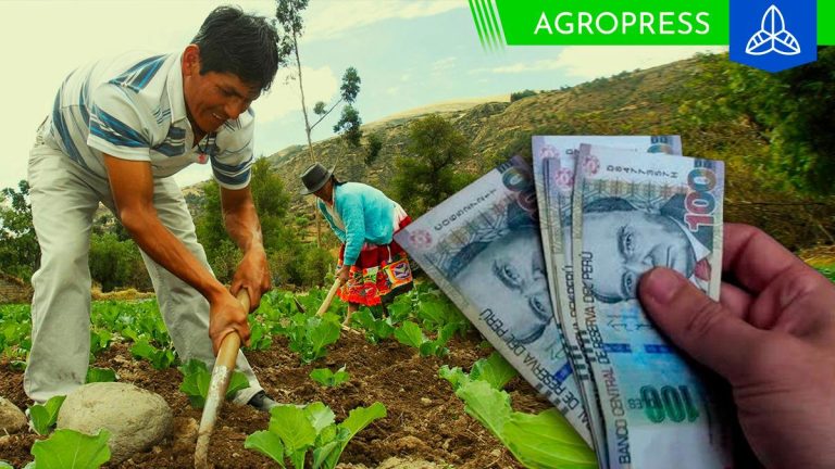 Bono agrario 3 de noviembre: LINK consulta DNI de este subsidio