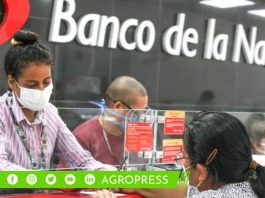 Todo lo que necesitas conocer sobre la entrega del Bono Yanapay de 350 soles en septiembre de 2023 bono