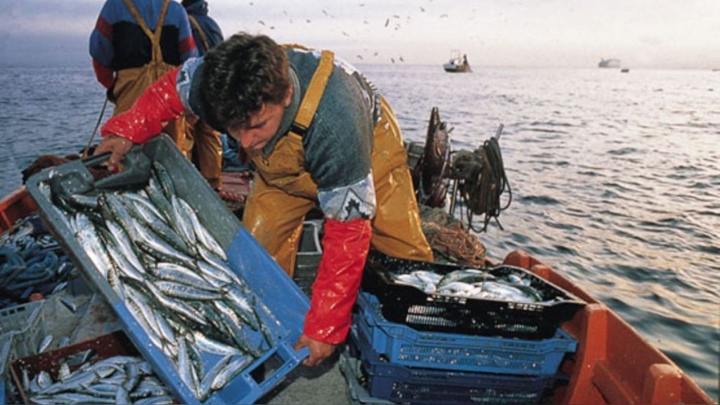bono pescador
