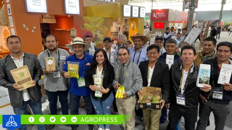 Café piurano cautivó el interés de compradores de Corea del Sur, Francia y Paraguay