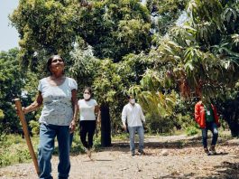 Camco Piura hace un llamado al Ejecutivo para tomar medidas de apoyo ante la crisis en el sector agrario crisis agraria