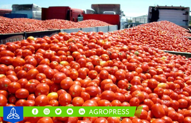 Amplias oportunidades comerciales en Brasil para la agricultura familiar peruana