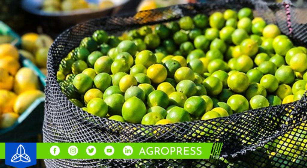 limón