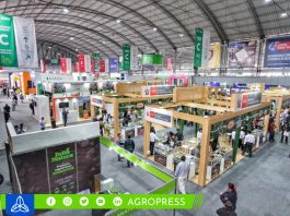 Perú continúa su ascenso en exportaciones agrícolas y proyecta superar a Chile para el 2027