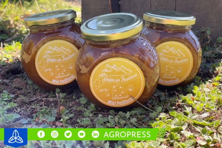 Emprendedoras piuranas abren camino en la comercialización de miel de abeja