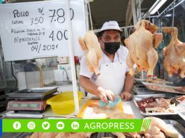 ¿A cuánto se vende el kilo de pollo en los mercados mayoristas de Lima?