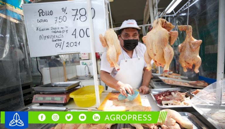 ¿A cuánto se vende el kilo de pollo en los mercados mayoristas de Lima?