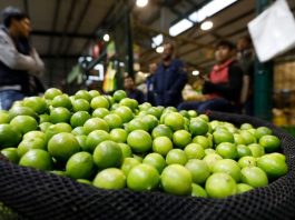 Perú agiliza apertura del mercado chileno para exportación de uvas, limones y naranjas Perú agiliza apertura del mercado chileno para exportación de uvas, limones y naranjas