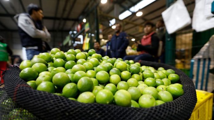 El 63.5% del limón peruano se produce en Piura