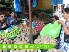 Se prepara el reglamento de la ley de recuperación de alimentos para fortalecer la seguridad alimentaria reglamento