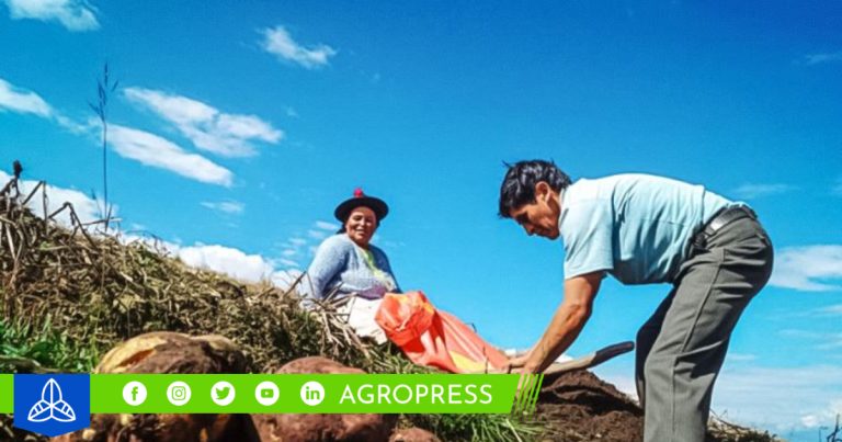 Programa de capacitación gratuita impulsa la competitividad del sector agrario